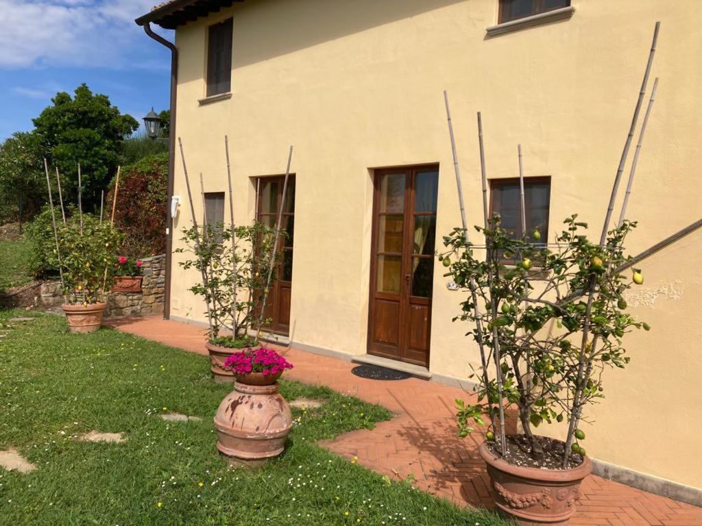 Agriturismo Cima Alla Serra Buti ภายนอก รูปภาพ